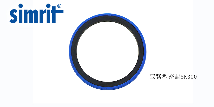 德國旋轉(zhuǎn)骨架油封，讓密封效果更好